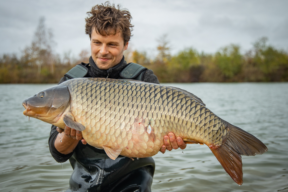 Carpe au pain depuis un arbre #carpe #pêche #fishing #carpfishing